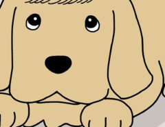 犬の『髪型』をバッチリ決める、カリスマスタイリストの技に「笑った」「様になってる」