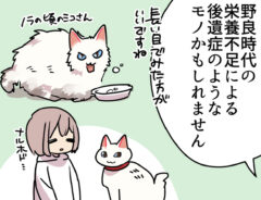 ミコさんがハゲてしまった話の漫画