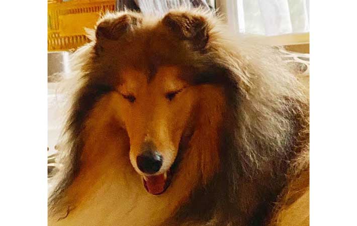 エマちゃんの写真
