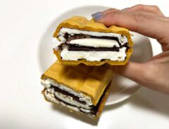 チョコモナカジャンボの写真