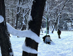 ヘビの雪像の写真