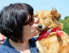 虐待により両目を失った犬　優しい里親に引き取られ、今では人々を癒す存在に