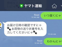 「ヤマトのLINEのツンデレ感！」最初は『にゃ』と返してくれたのに？