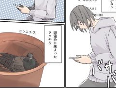 「ベランダにハトの卵が！駆除すると罰金！？」　実録漫画に反響