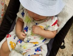 普通にお散歩していただけなのに…　ベビーカーを転倒させた「意外なモノ」の正体は？