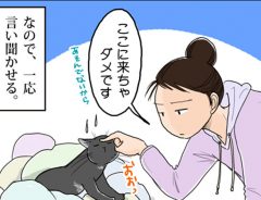洗濯物に紛れる猫を注意したら？　続く展開に「笑った」「うちの子もやる」