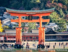 『間違った参拝方法』に全国の神社が迷惑　悲惨な光景に言葉を失う