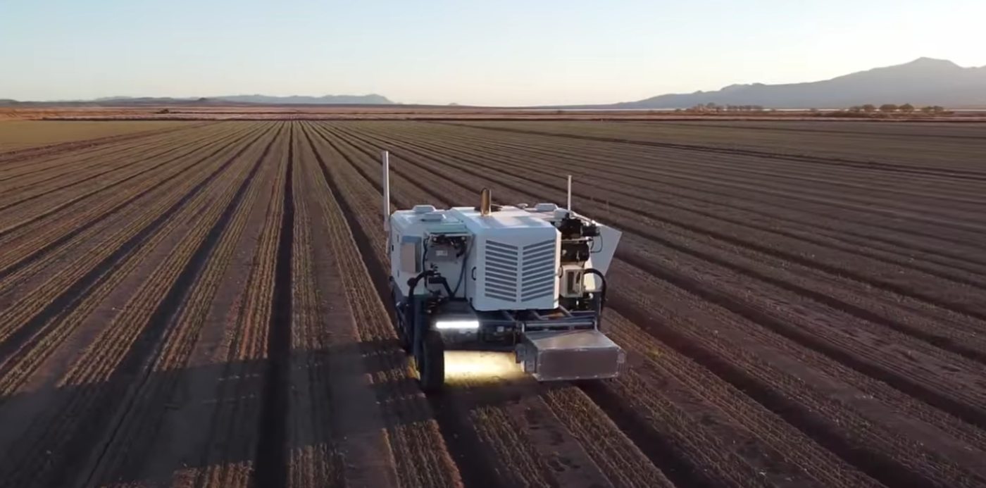 Laser Weeder, a Inteligência Artificial que pode nos livrar dos agrotóxicos