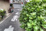 ハイダイナミックレンジ写真 - 5月のストックフォト売り上げ報告〜