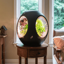 the plantaform on a side table in a living room