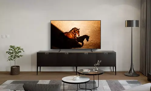 Samsung OLED TV with horse screensaver sitting on TV stand in living room setup