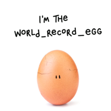 World record egg big reveal brings attention to mental health