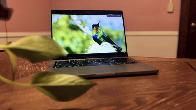 Apple MacBook Pro (M3) on a desk with hummingbird on display