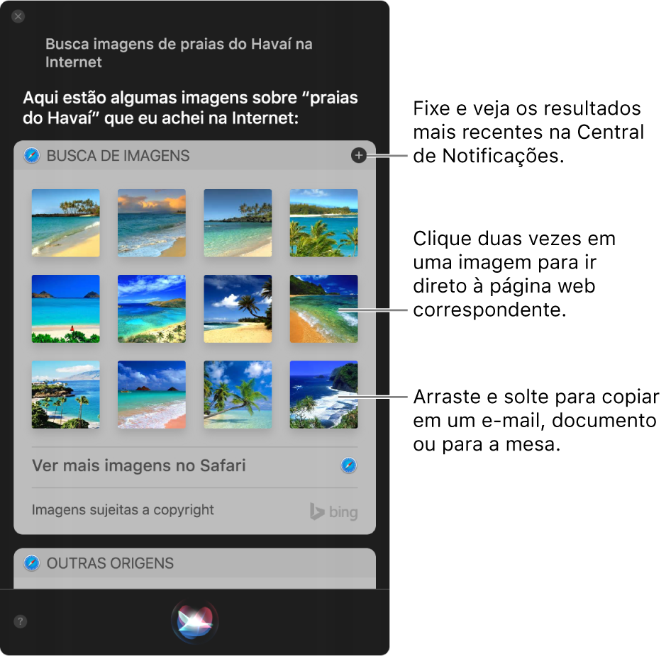 Janela da Siri mostrando resultados da Siri ao pedido “Procure imagens de praias no Havaí na Internet”. Você pode fixar os resultados na Central de Notificações, clicar duas vezes em uma imagem para abrir a página web da qual ela faz parte ou arrastar uma imagem para um e-mail, um documento ou a mesa.