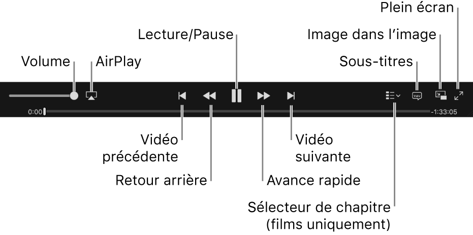 Commandes vidéo : volume, AirPlay, vidéo précédente, retour, lecture/pause, avance, vidéo suivante, sélecteur de chapitre (pour les films uniquement), sous-titres, Image dans l’image et plein écran.