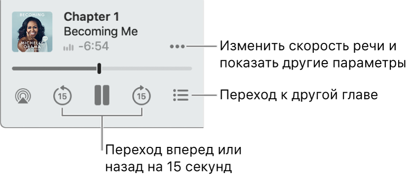 Плеер аудиокниг в приложении «Книги». Показаны кнопка «Дополнительные параметры» (в правом верхнем углу), кнопка «Оглавление» (в правом нижнем углу), а также кнопки «Перейти вперед» и «Перейти назад» (в правом и левом нижнем углах).