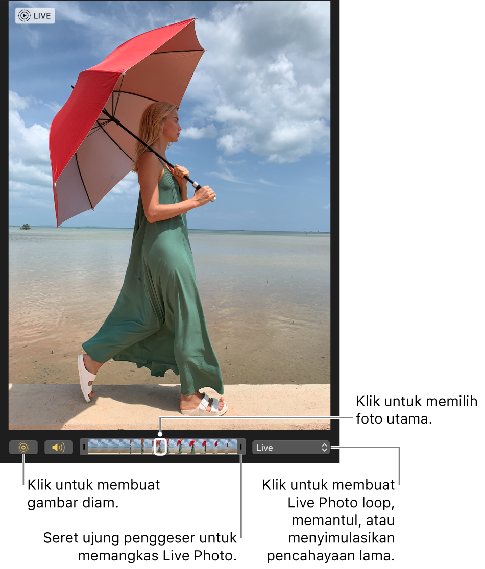 Live Photo dalam tampilan pengeditan dengan penggeser di bawahnya menampilkan bingkai foto. Tombol Live Photo dan tombol Speaker terdapat di kiri penggeser, dan di kanan terdapat menu pop-up yang dapat Anda gunakan untuk menambahkan efek loop, memantul, atau pencahayaan lama.