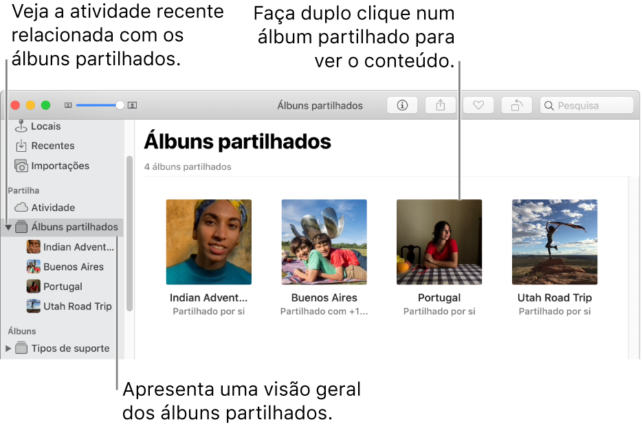 O painel “Álbuns partilhados” da janela de Fotografias a mostrar os álbuns partilhados.