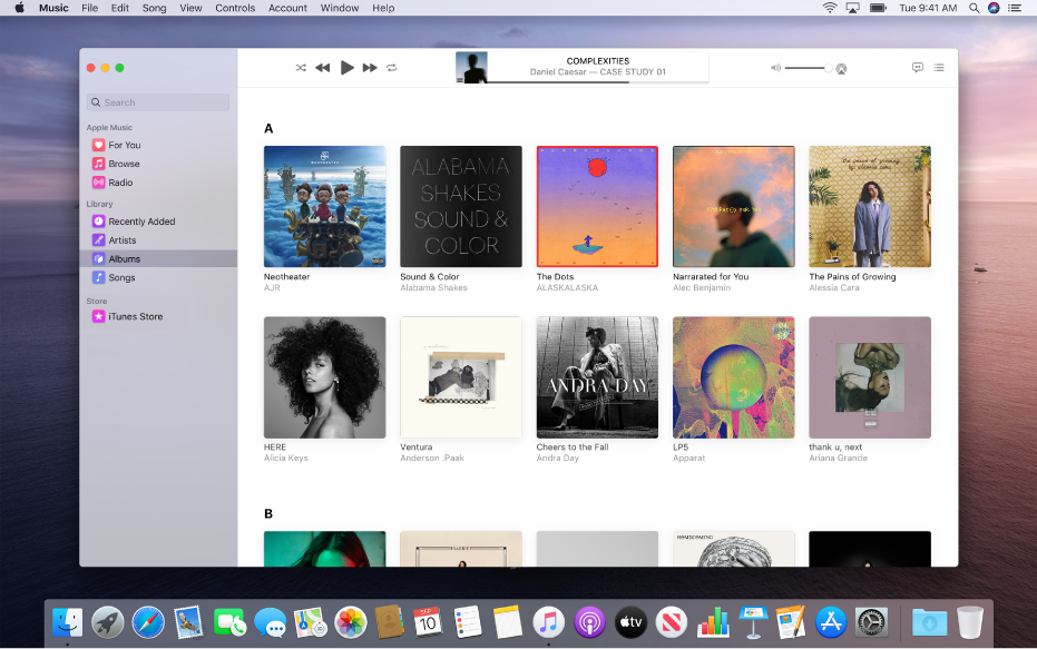 The Apple Music window with a library of multiple albums.