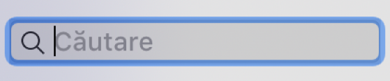 Câmpul de căutare din fereastra Muzică.
