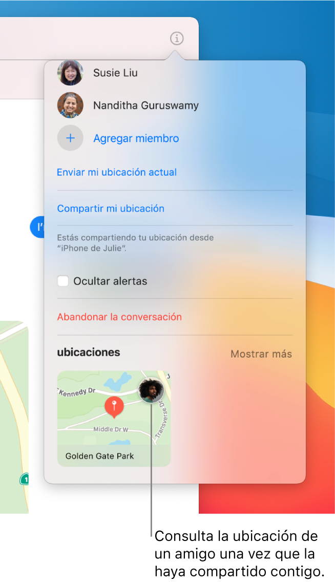 Visualización Detalles con un mapa en la parte inferior. Puedes ver un ícono del amigo que compartió su ubicación contigo.