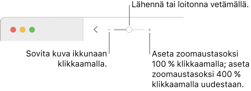 Työkalupalkki, jossa näkyy zoomaussäätimet.