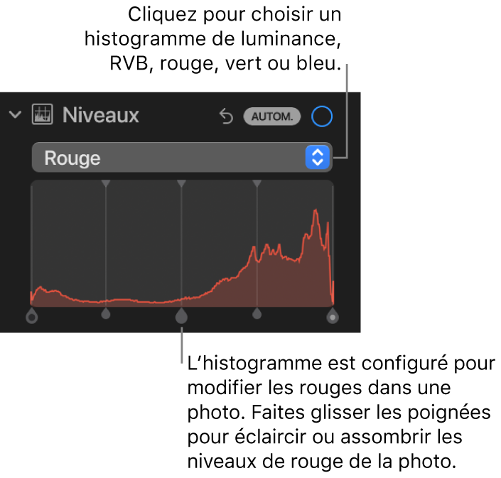 Les commandes Niveaux dans la sous-fenêtre Ajuster, montrant l’histogramme Rouge au-dessus de poignées, permettant d’ajuster les niveaux de rouge de la photo.