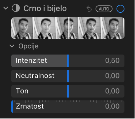 Područje Crno i bijelo prozora Prilagodi koji prikazuje kliznike za Intenzitet, Neutralno, Ton i Zrnatost.