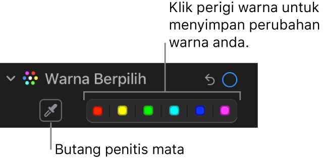 Kawalan Warna Berpilih dalam anak tetingkap Laras, menunjukkan butang Penitis dan perigi warna.