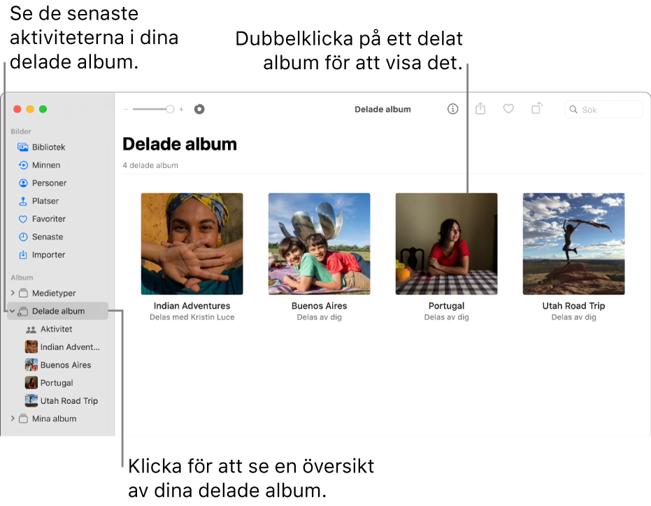 Bilder-fönstret där Delade album är markerat i sidofältet och delade album visas till höger.