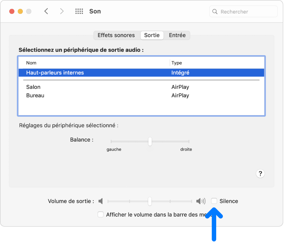 La case Silence en bas de la sous-fenêtre de préférences Son.