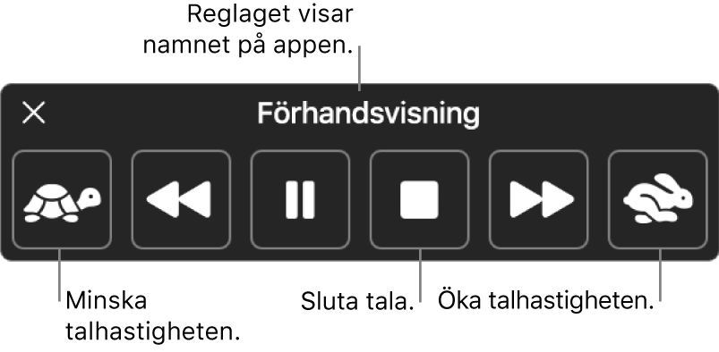 Kontrollpanelen som kan visas när datorn läser upp markerad text. Kontrollpanelen har sex knappar som, från vänster till höger, gör det möjligt att sänka uppläsningshastigheten, hoppa tillbaka en mening, spela upp eller pausa uppläsningen, stänga av uppläsningen, hoppa fram en mening och öka uppläsningshastigheten. Namnet på appen visas högst upp på kontrollpanelen.