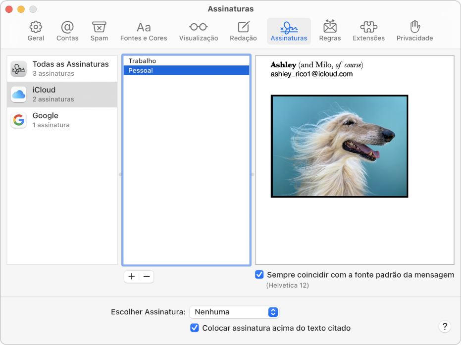 O painel de preferências de Assinaturas do Mail mostrando uma assinatura que contém texto formatado e uma imagem.