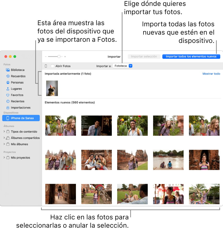 Las fotos en el dispositivo que ya importaste se muestran en la parte superior del panel; las fotos nuevas se muestran en la parte inferior. En parte central superior se encuentra el menú desplegable “Importar a”. El botón “Importar todos los elementos nuevos” se encuentra en la parte superior derecha.