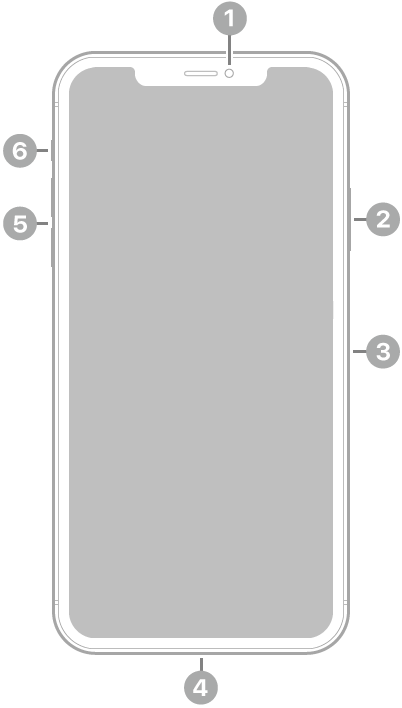 The front view of iPhone 11 Pro Max. The front camera is at the top center. On the right side, from top to bottom, are the side button and the SIM tray. The Lightning connector is on the bottom. On the left side, from bottom to top, are the volume buttons and the ring/silent switch.