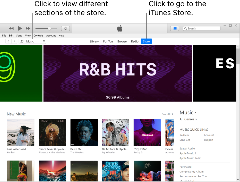 The iTunes Store main window: In the navigation bar, Store is highlighted. In the top-left corner, choose to view different content in the Store (such as Music or TV).