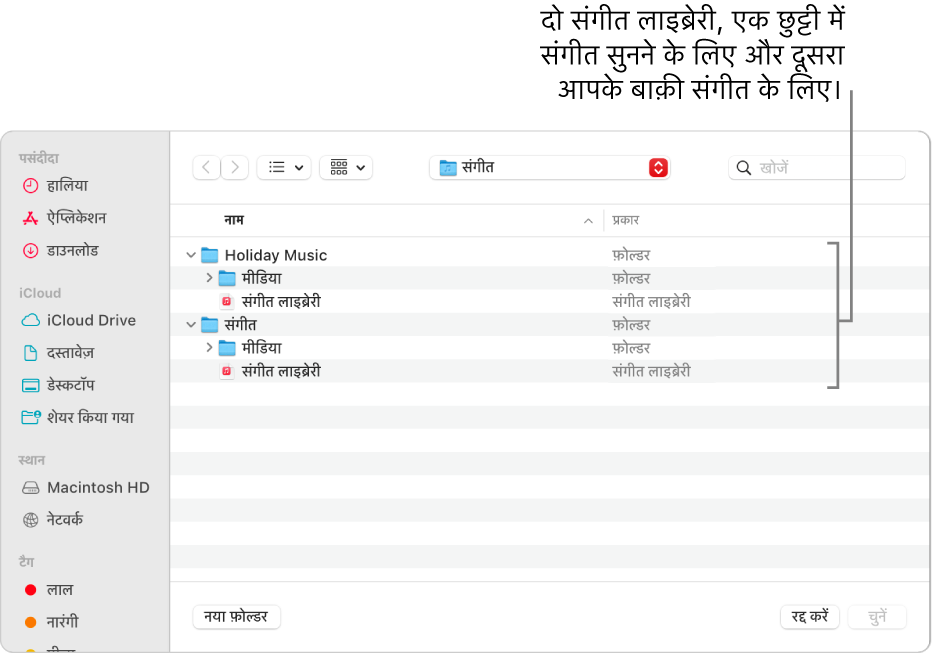 एकाधिक लाइब्रेरी दिखाती हुई Finder विंडो—एक छुट्टी में संगीत सुनने के लिए और दूसरा आपके बाक़ी संगीत के लिए।