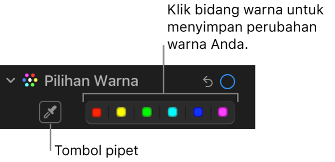 Kontrol Pilihan Warna di panel Sesuaikan, menampilkan tombol Pipet dan sumber warna.