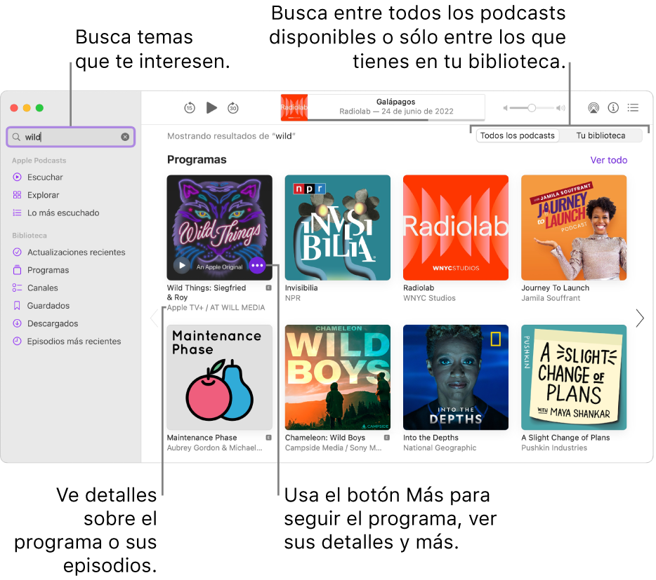 La ventana Podcasts mostrando el texto ingresado en el campo de búsqueda en la esquina superior izquierda, y los episodios y programas que concuerdan con la búsqueda de todos los podcasts en la pantalla de la derecha. Haz clic en el enlace debajo del programa para ver los detalles sobre el programa y sus episodios. Usa el botón Más del programa para seguir al programa, cambiar su configuración y más.