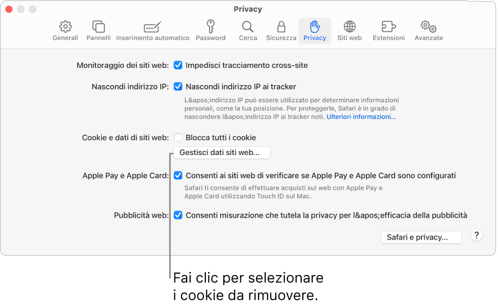 Il pannello Privacy delle impostazioni di Safari.