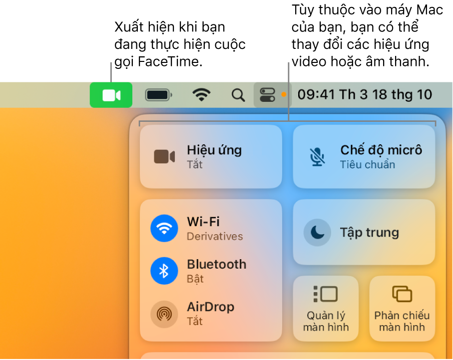 Trung tâm điều khiển ở góc trên cùng bên phải của màn hình máy Mac, đang hiển thị biểu tượng FaceTime (xuất hiện khi bạn đang tham gia cuộc gọi FaceTime) và Hiệu ứng và Chế độ micrô (thay đổi video hoặc hiệu ứng, tùy thuộc vào máy Mac).