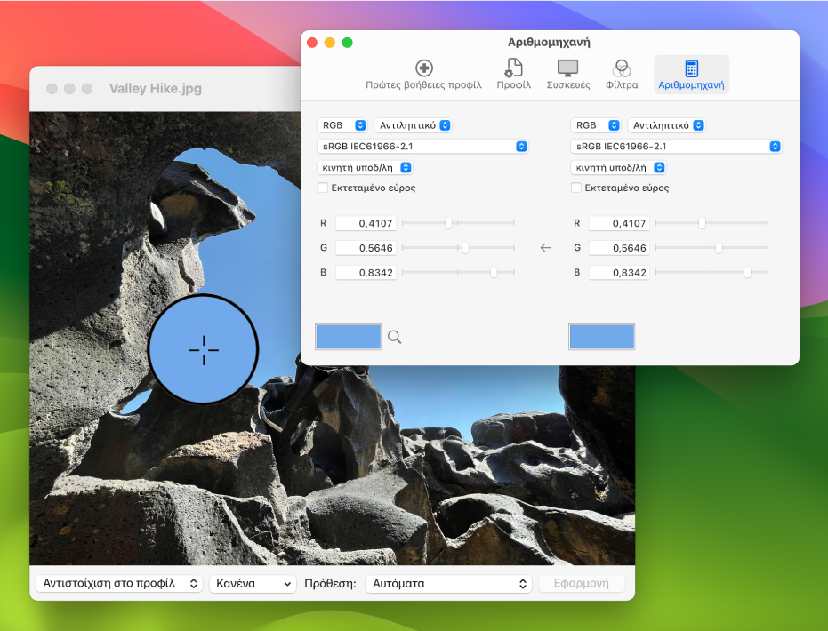Το τμήμα «Αριθμομηχανή» εμφανίζει τις χρωματικές τιμές για ένα pixel σε δύο διαφορετικά χρωματικά προφίλ.