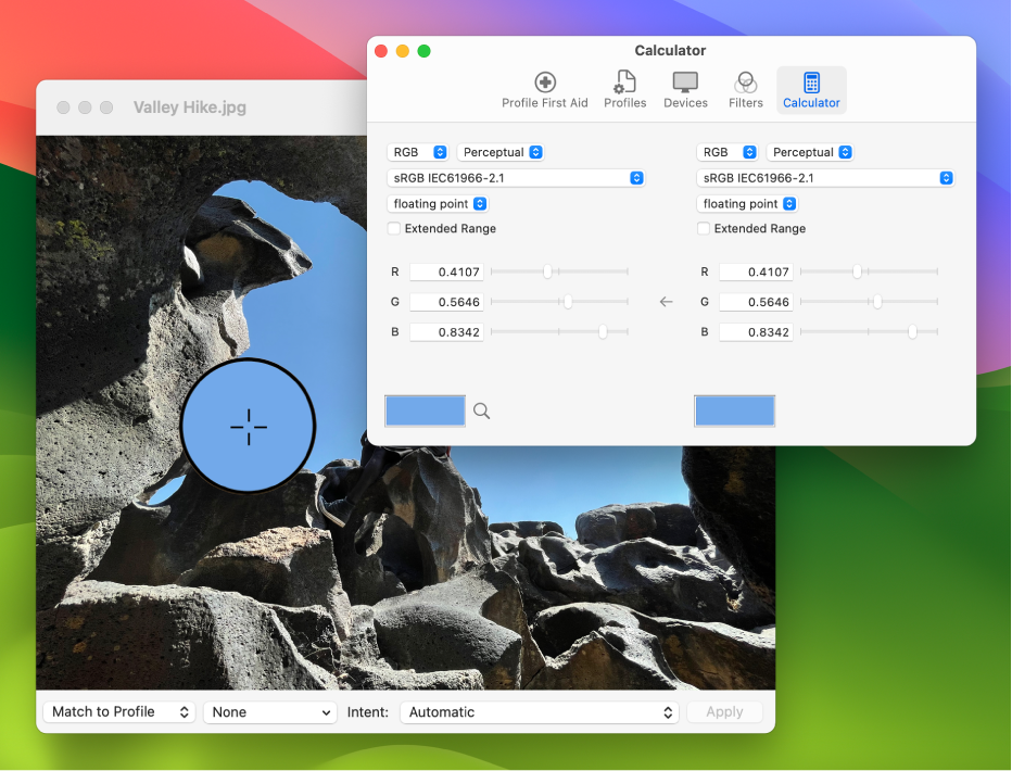 The Calculator pane showing the color values for a pixel in two different color profiles.