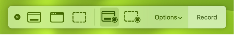 Screenshot tools with the Record button on the right and the Options pop-up menu next to it.