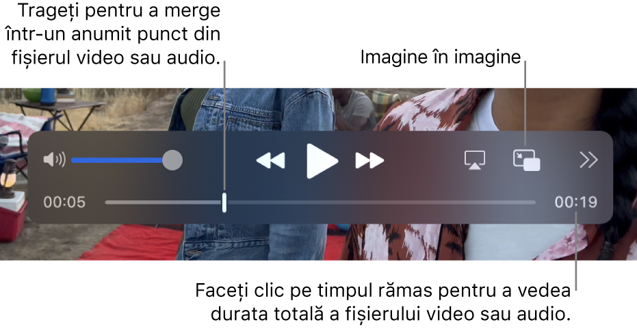 Comenzile QuickTime Player. În partea de sus se află: comanda de volum, butonul Derulează înapoi, butonul Redă/Suspendă, butonul Repede înainte, butonul Alegere afișaj, butonul Imagine în imagine, butonul Partajează și viteză de redare. În partea de jos se află capul de redare, pe care îl puteți trage pentru a accesa un anumit punct din cadrul fișierului. Timpul rămas din cadrul fișierului apare în partea de jos.