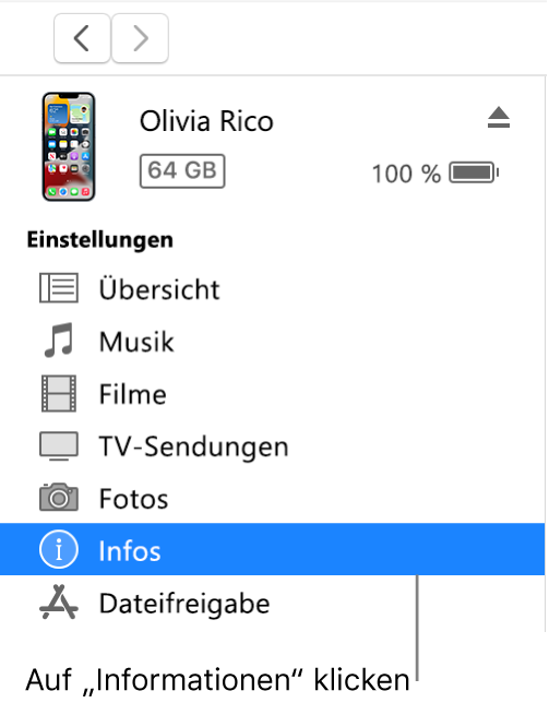 Das Fenster „Gerät“ mit links in der Seitenleiste ausgewählter Option „Infos“