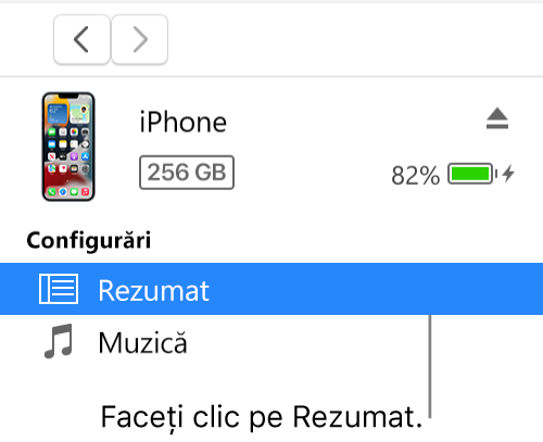 Fereastra Dispozitiv, cu secțiunea Rezumat selectată în bara laterală din stânga.