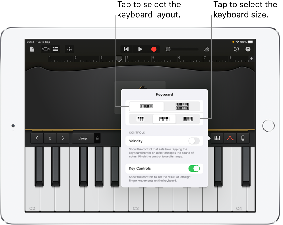 Keyboard layout and size controls