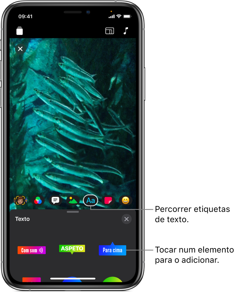 Uma imagem do vídeo no editor, com o botão Texto selecionado e as opções de etiquetas de texto por baixo.
