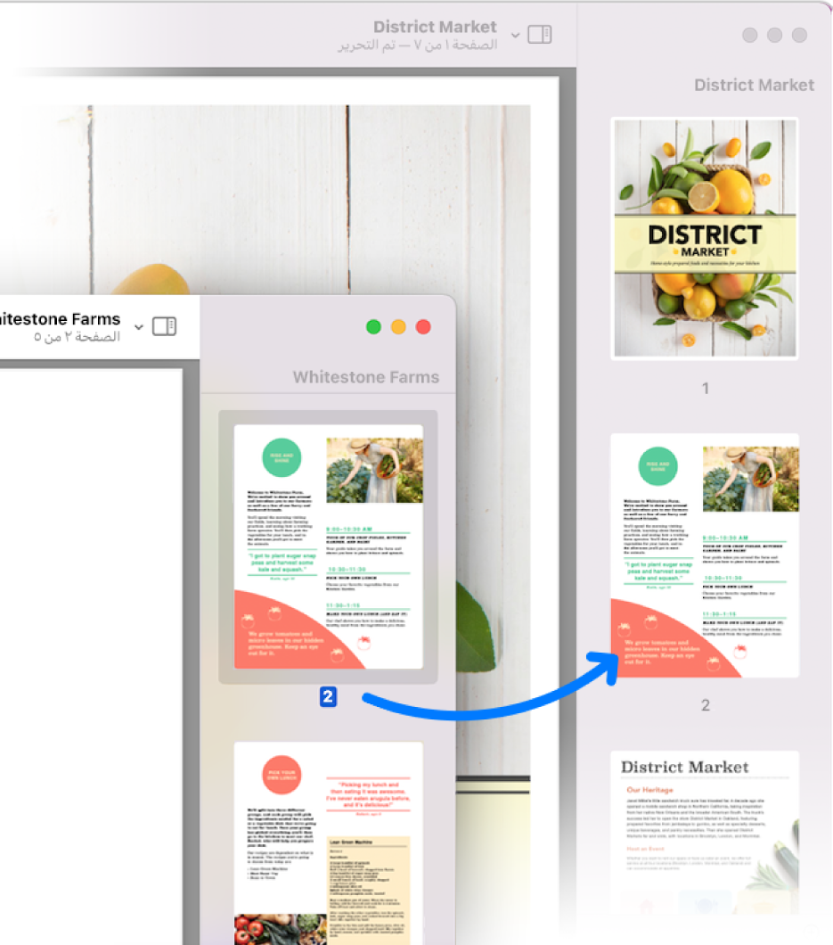 صورة مصغرة لصفحة من مستند PDF إلى الشريط الجانبي لمستند آخر.